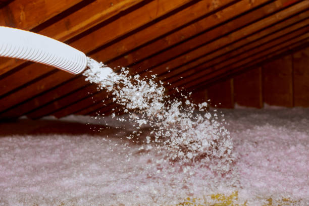 Best Commercial Insulation Services  in Trempealeau, WI